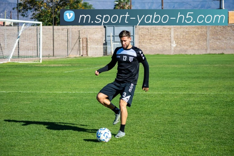 亚博体育平台生态图